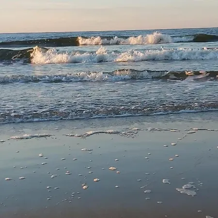 Apartament Przy Lesie Słoneczne Tarasy Dziwnówek